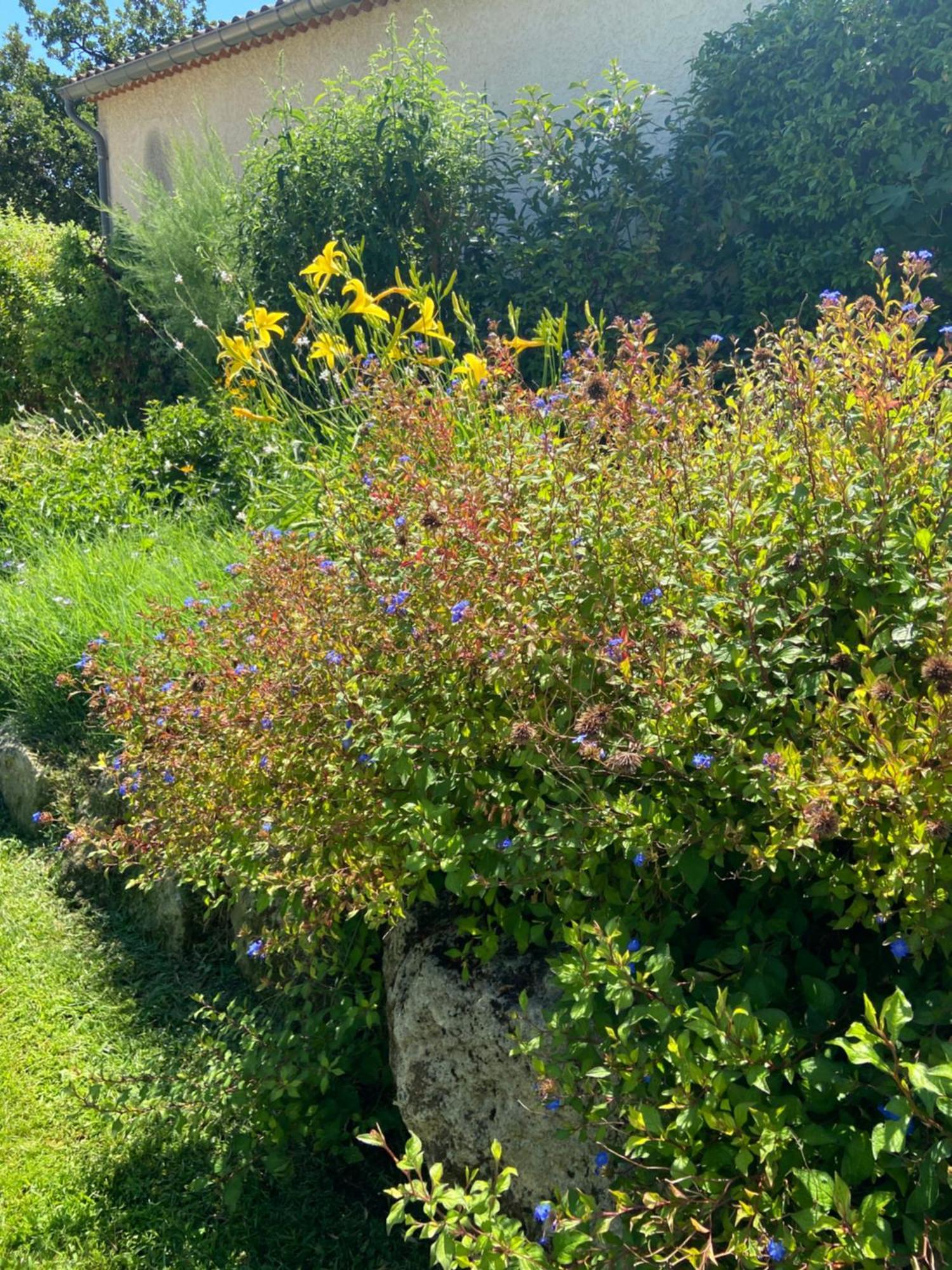 Paradis Provencal Villa - Espace Detente Et Bbq Lmv Carpentras Eksteriør bilde